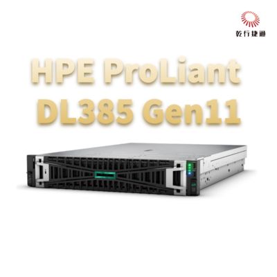 HPE ProLiant DL385 Gen11 Storage Server, Flash-Speichersystem, Zeon-CPU Server