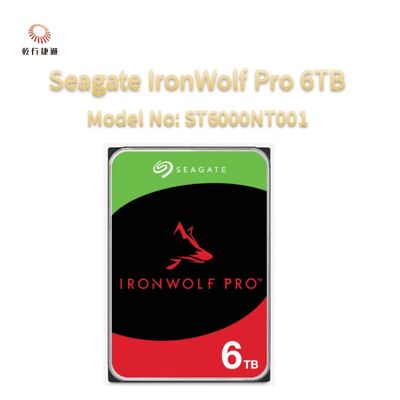 Seagate Ironwolf Pro 6TB Modellnummer: ST6000NT001