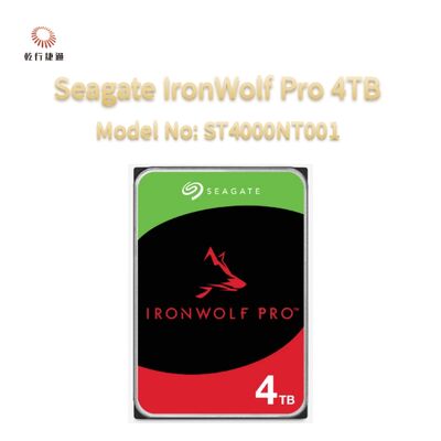 Seagate Ironwolf Pro 4TB Modellnummer: ST4000NT001