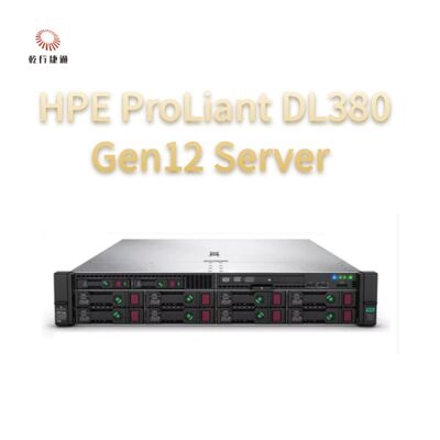 HPE ProLiant Compute DL380 Gen12 Rack-Speicher-Server, benutzerdefinierter Speicher-Server, zweiseitiger Server