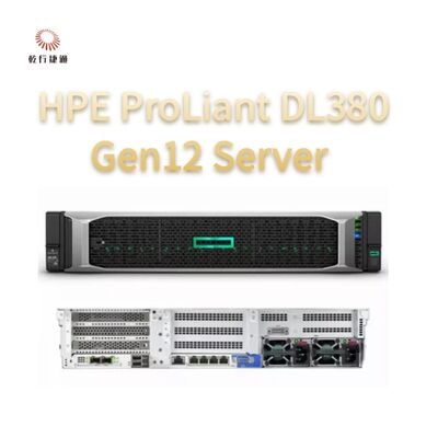 HPE ProLiant Compute DL380 Gen12 Rack-Speicher-Server, benutzerdefinierter Speicher-Server, zweiseitiger Server