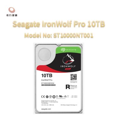 Seagate Ironwolf Pro 10TB Modellnummer: ST10000NT001