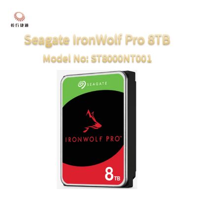 Seagate Ironwolf Pro 8TB Modellnummer: ST8000NT001