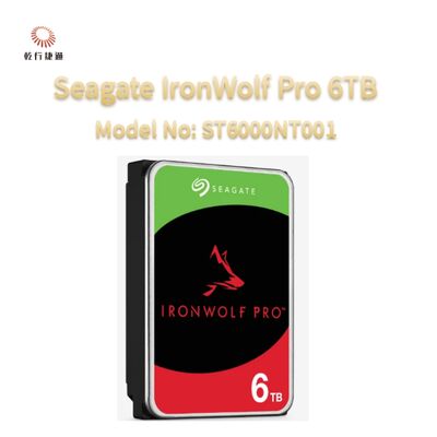Seagate Ironwolf Pro 6TB Modellnummer: ST6000NT001