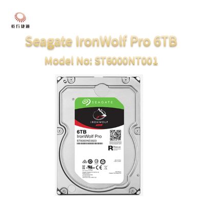 Seagate Ironwolf Pro 6TB Modellnummer: ST6000NT001