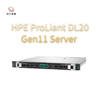 HPE ProLiant DL20 Gen11 Rack-Server, Flash-Speichersystem, Xeon-CPU-Server